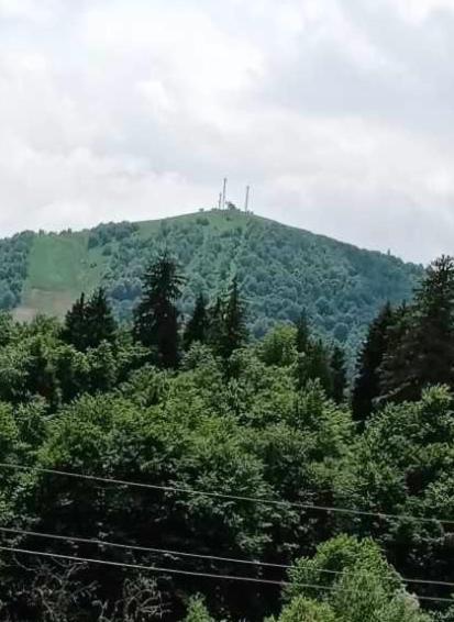 Hotel Archi Kokhta บาคูเรียนี ภายนอก รูปภาพ